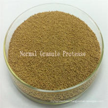 Qualified Strain Based Alkaline Protease